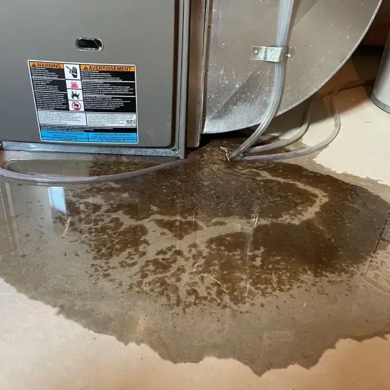 Appliance Leak Cleanup in West Point, MS